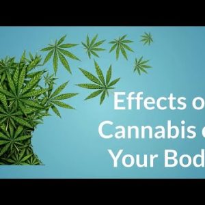 Effects of Cannabis on your body.