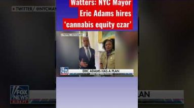 Jesse Watters: Mayor Eric Adams needs cannabis to be fair #shorts