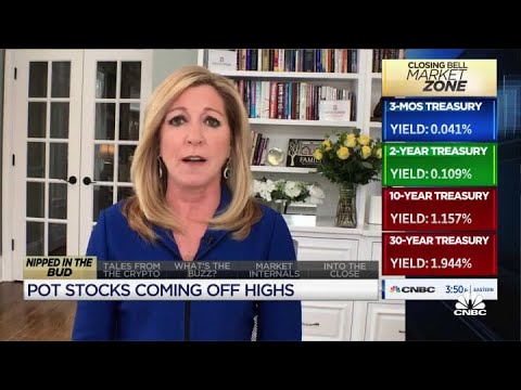 The cannabis stock surge is a “Reddit redo”: Stephanie Link