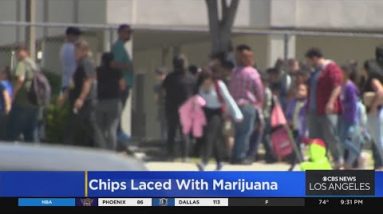 Several college students at elementary unknowingly consume chips laced with cannabis