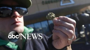 Thousands line up early in Canada to purchase marijuana legally