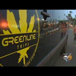 The Cannabus: Marijuana Bus Tour Latest Intention To Toke In The Surroundings Across LA