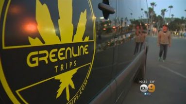 The Cannabus: Marijuana Bus Tour Latest Intention To Toke In The Surroundings Across LA