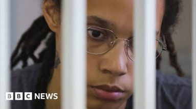 How the Brittney Griner prisoner swap with Russia became as soon as done – BBC News