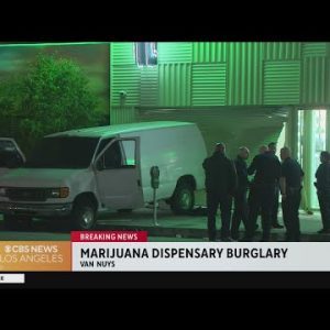 Ten burglars fracture van into Sherman Oaks marijuana dispensary